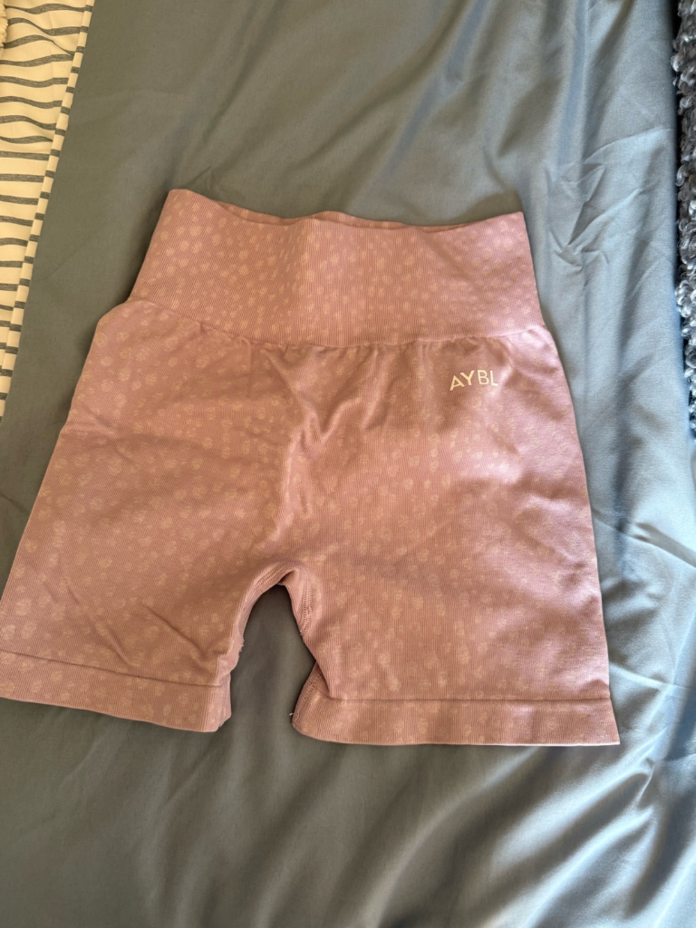 Light Purple AYBL Workout Shorts